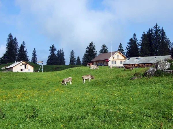 高山畜産農家および馬小屋として地域 ザンクト ガレンのカントン スイス連邦共和国の Churfirsten 山脈の斜面に — ストック写真