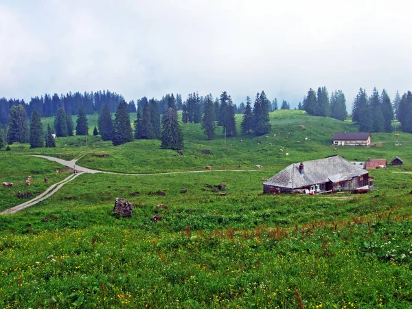 Granjas Ganaderas Alpinas Establos Las Laderas Cordillera Churfirsten Región Toggenburg — Foto de Stock
