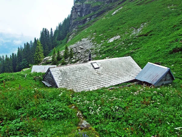 在托根堡地区的 Churfirsten 山脉山坡上的高山牲畜养殖场和马厩 瑞士圣加仑州 — 图库照片