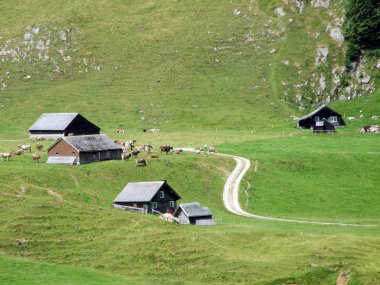 Kırsal geleneksel mimarisi ve hayvan çiftlikleri yamaçlarda Alpstein ve Ren Vadisi - St. Gallen Kanton ve Appenzell Innerrhoden, İsviçre