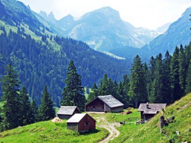 Kırsal geleneksel mimarisi ve hayvan çiftlikleri yamaçlarda Alpstein ve Ren Vadisi - St. Gallen Kanton ve Appenzell Innerrhoden, İsviçre