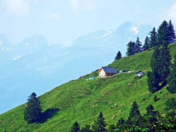 Architecture Rurale Traditionnelle Élevages Sur Les Pentes Alpstein Dans Vallée — Photo