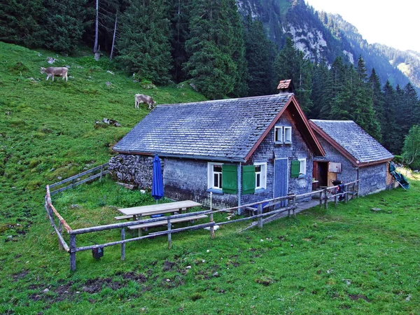 Arquitetura Tradicional Rural Fazendas Pecuárias Nas Encostas Alpstein Vale Reno — Fotografia de Stock