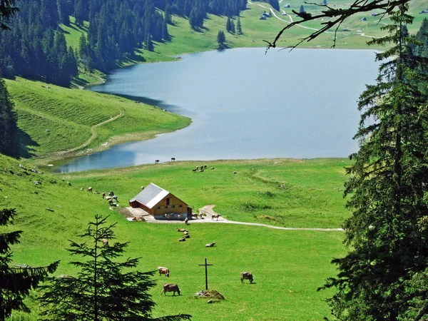 Architettura Rurale Tradizionale Allevamenti Sulle Pendici Dell Alpstein Nella Valle — Foto Stock