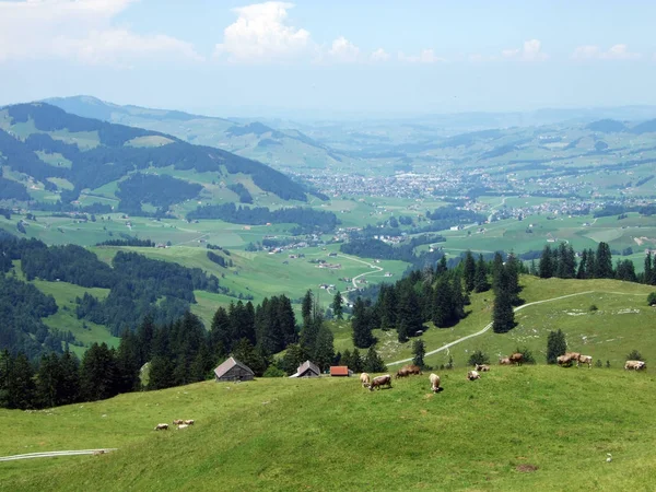 ラインの谷 カントンのザンクトガレンやアッペンツェル Innerrhoden スイス連邦共和国 Alpstein の斜面に農村部の伝統的なアーキテクチャと畜産農場 — ストック写真