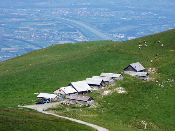 Tradycyjnych Wiejskich Gospodarstw Architektury Zwierząt Gospodarskich Stoku Alpstein Dolinie Renu — Zdjęcie stockowe