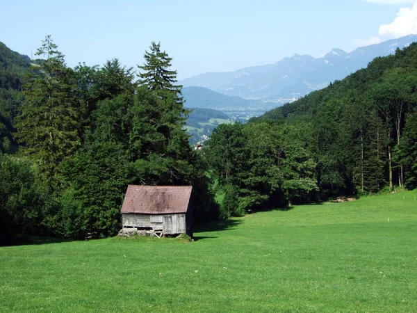 Tradycyjnych Wiejskich Gospodarstw Architektury Zwierząt Gospodarskich Stoku Alpstein Dolinie Renu — Zdjęcie stockowe