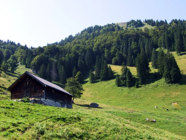 Rural Traditional Architecture Livestock Farms Slopes Alpstein Rhine Valley Cantons — Stock Photo, Image
