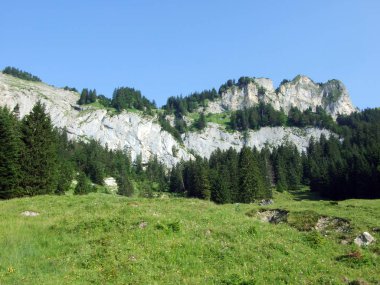 Alpine mera ve çayırlar Alpstein dağ silsilesi - St. Gallen Kanton ve Appenzell Innerrhoden, İsviçre eteklerinde
