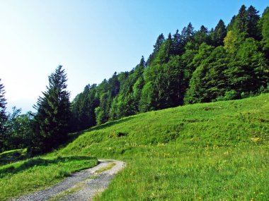Alpine mera ve çayırlar Alpstein dağ silsilesi - St. Gallen Kanton ve Appenzell Innerrhoden, İsviçre eteklerinde