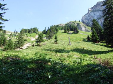Alpine mera ve çayırlar Alpstein dağ silsilesi - St. Gallen Kanton ve Appenzell Innerrhoden, İsviçre eteklerinde