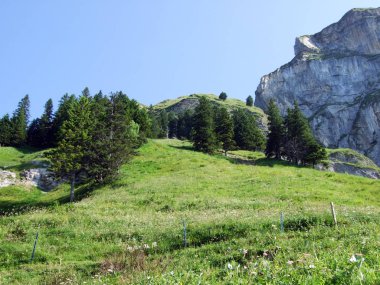 Alpine mera ve çayırlar Alpstein dağ silsilesi - St. Gallen Kanton ve Appenzell Innerrhoden, İsviçre eteklerinde