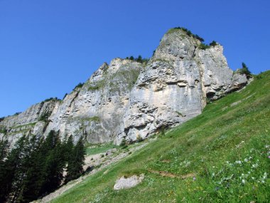 Alpine mera ve çayırlar Alpstein dağ silsilesi - St. Gallen Kanton ve Appenzell Innerrhoden, İsviçre eteklerinde