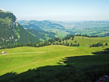 Alpine mera ve çayırlar Alpstein dağ silsilesi - St. Gallen Kanton ve Appenzell Innerrhoden, İsviçre eteklerinde