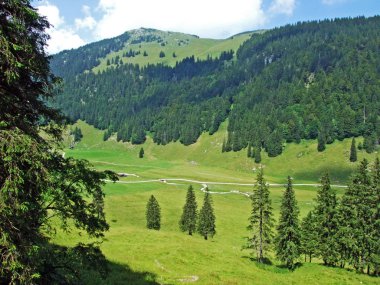 Alpine mera ve çayırlar Alpstein dağ silsilesi - St. Gallen Kanton ve Appenzell Innerrhoden, İsviçre eteklerinde