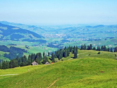 Alpine mera ve çayırlar Alpstein dağ silsilesi - St. Gallen Kanton ve Appenzell Innerrhoden, İsviçre eteklerinde