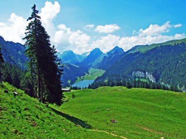 Alpine mera ve çayırlar Alpstein dağ silsilesi - St. Gallen Kanton ve Appenzell Innerrhoden, İsviçre eteklerinde
