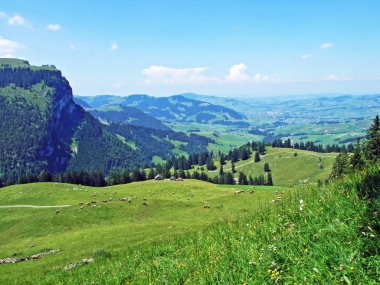 Alpine mera ve çayırlar Alpstein dağ silsilesi - St. Gallen Kanton ve Appenzell Innerrhoden, İsviçre eteklerinde