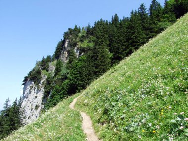 Alpine mera ve çayırlar Alpstein dağ silsilesi - St. Gallen Kanton ve Appenzell Innerrhoden, İsviçre eteklerinde