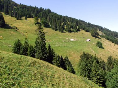 Alpine mera ve çayırlar Alpstein dağ silsilesi - St. Gallen Kanton ve Appenzell Innerrhoden, İsviçre eteklerinde