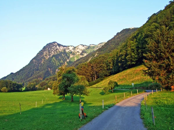 Almen Und Wiesen Den Hängen Des Alpsteingebirges Kantone Gallen Und — Stockfoto