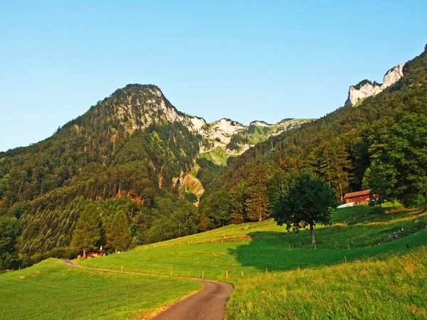 Альпійські Пасовища Луки Схилах Гірського Хребта Alpstein Кантони Санкт Галлен — стокове фото