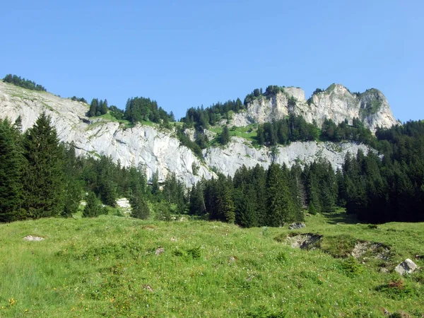 Almen Und Wiesen Den Hängen Des Alpsteingebirges Kantone Gallen Und — Stockfoto