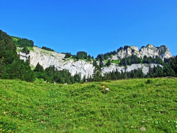 Альпійські Пасовища Луки Схилах Гірського Хребта Alpstein Кантони Санкт Галлен — стокове фото