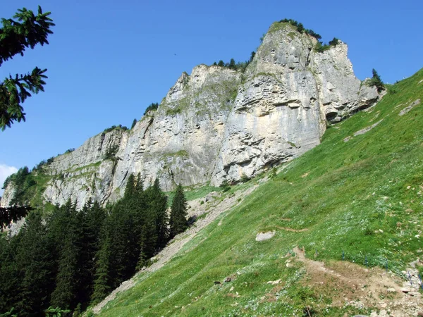 Alpine Pastures Meadows Slopes Alpstein Mountain Range Cantons Gallen Appenzell — Stock Photo, Image