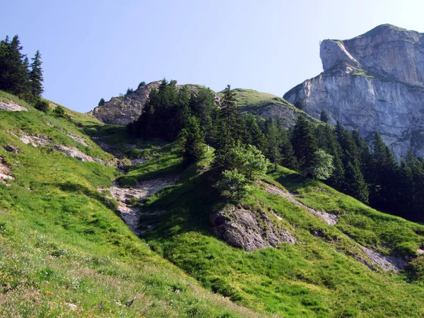Alpejskie Pastwiska Łąki Zboczach Gór Alpstein Kantony Gallen Appenzell Innerrhoden — Zdjęcie stockowe