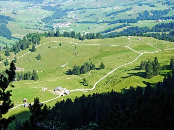 Alpine Pastures Meadows Slopes Alpstein Mountain Range Cantons Gallen Appenzell — Stock Photo, Image