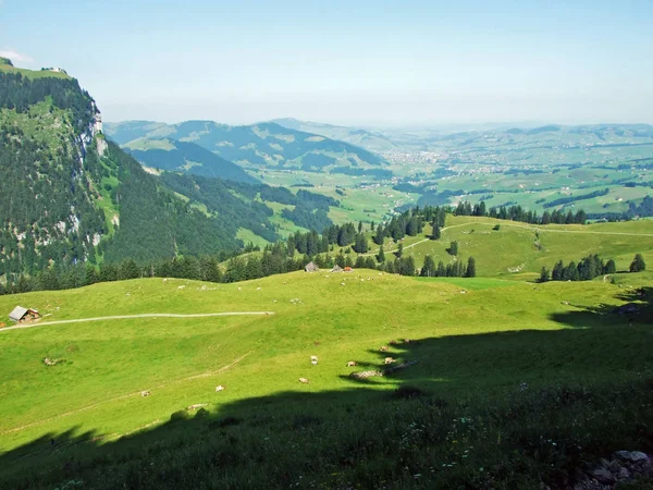 Alpages Prairies Alpines Sur Les Pentes Chaîne Montagnes Alpstein Cantons — Photo