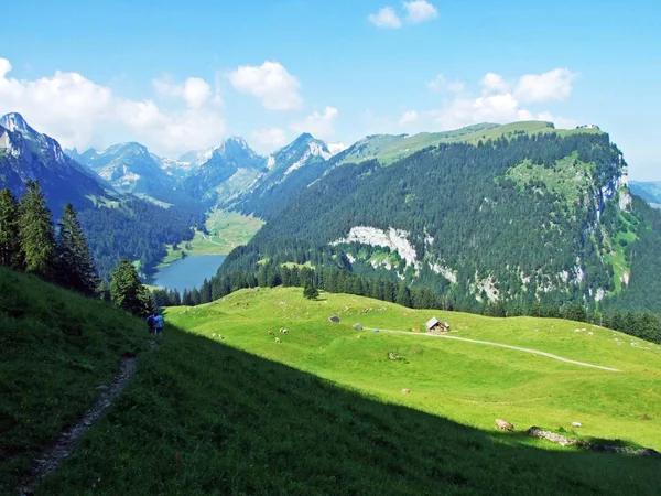 Pastagens Prados Alpinos Nas Encostas Cordilheira Alpstein Cantões Gallen Appenzell — Fotografia de Stock