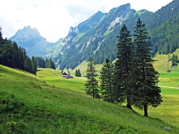 Alpské Pastviny Louky Svazích Pohoří Alpstein Kantonech Sankt Gallen Appenzell — Stock fotografie