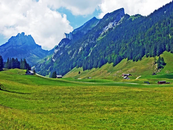 Pastagens Prados Alpinos Nas Encostas Cordilheira Alpstein Cantões Gallen Appenzell — Fotografia de Stock