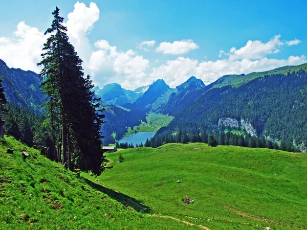 高山の牧草地と Alpstein カントンのザンクトガレンやアッペンツェル Innerrhoden スイス連邦共和国の斜面の牧草地 — ストック写真