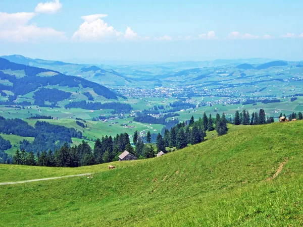 高山の牧草地と Alpstein カントンのザンクトガレンやアッペンツェル Innerrhoden スイス連邦共和国の斜面の牧草地 — ストック写真