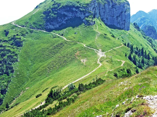 Alpages Prairies Alpines Sur Les Pentes Chaîne Montagnes Alpstein Cantons — Photo