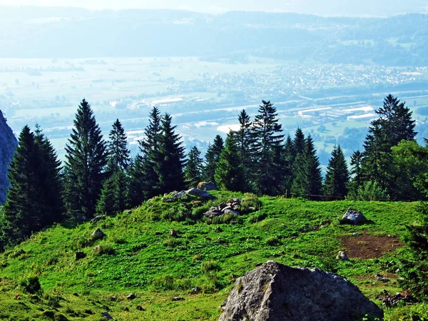 Vista Sobre Valle Del Rin Rheintal Desde Cordillera Alpstein Cantón — Foto de Stock