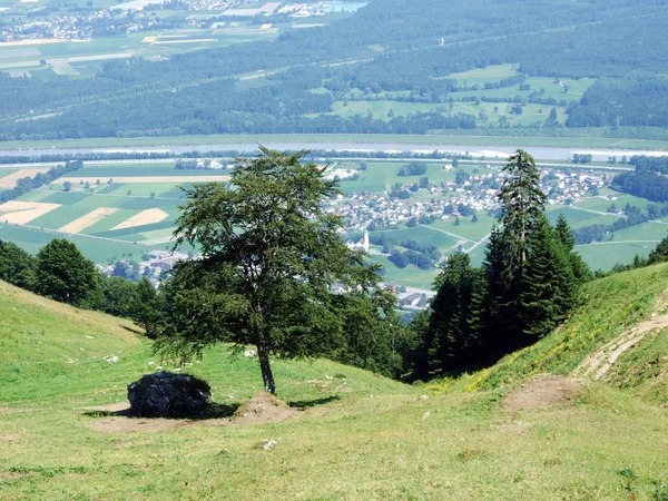 Zobrazit Řece Údolí Rýna Rheintal Alpstein Pohoří Kantonu Gallen Švýcarsko — Stock fotografie