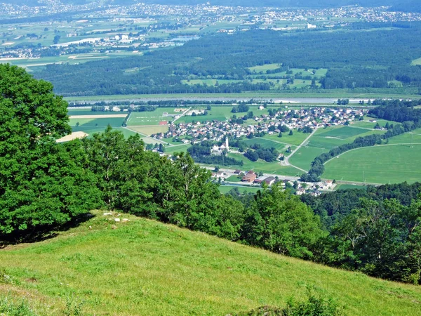 Nézd Folyón Rajna Völgy Rheintal Alpstein Hegység Gallen Kanton Svájc — Stock Fotó