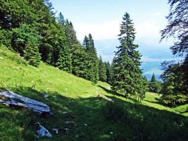 Ağaçlar ve karışık ormanlar pistlerinin Alpstein dağ ve nehir Ren Vadisi - St. Gallen Kanton ve Appenzell Innerrhoden, İsviçre