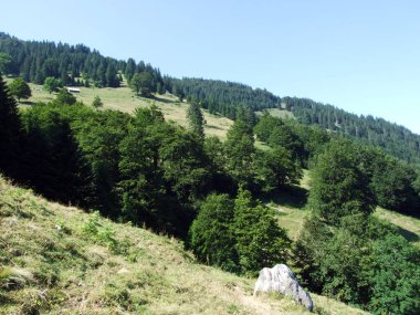 Ağaçlar ve karışık ormanlar pistlerinin Alpstein dağ ve nehir Ren Vadisi - St. Gallen Kanton ve Appenzell Innerrhoden, İsviçre