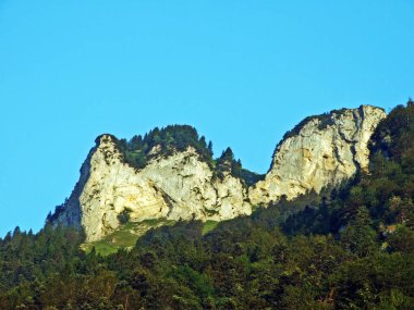 Ağaçlar ve herdem yeşil ormanlar yamaçlarda Alpstein dağ ve nehir Ren Vadisi - St. Gallen Kanton ve Appenzell Innerrhoden, İsviçre
