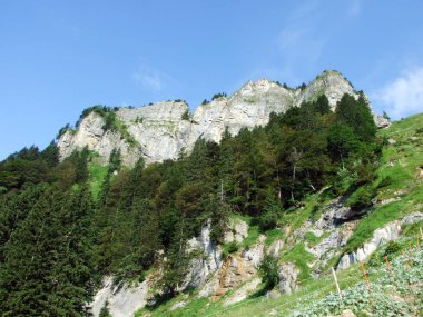 Ağaçlar ve herdem yeşil ormanlar yamaçlarda Alpstein dağ ve nehir Ren Vadisi - St. Gallen Kanton ve Appenzell Innerrhoden, İsviçre