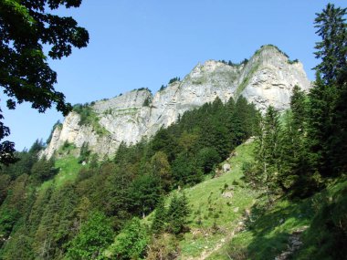 Ağaçlar ve herdem yeşil ormanlar yamaçlarda Alpstein dağ ve nehir Ren Vadisi - St. Gallen Kanton ve Appenzell Innerrhoden, İsviçre