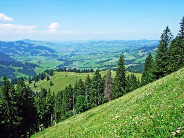 Ağaçlar ve herdem yeşil ormanlar yamaçlarda Alpstein dağ ve nehir Ren Vadisi - St. Gallen Kanton ve Appenzell Innerrhoden, İsviçre