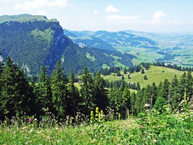 Ağaçlar ve herdem yeşil ormanlar yamaçlarda Alpstein dağ ve nehir Ren Vadisi - St. Gallen Kanton ve Appenzell Innerrhoden, İsviçre