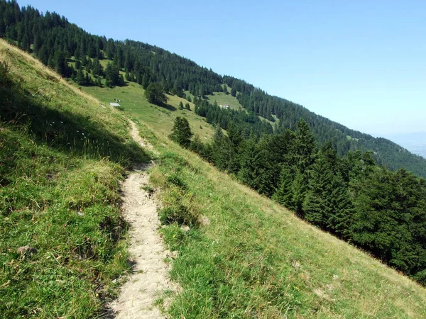 Ağaçlar ve karışık ormanlar pistlerinin Alpstein dağ ve nehir Ren Vadisi - St. Gallen Kanton ve Appenzell Innerrhoden, İsviçre