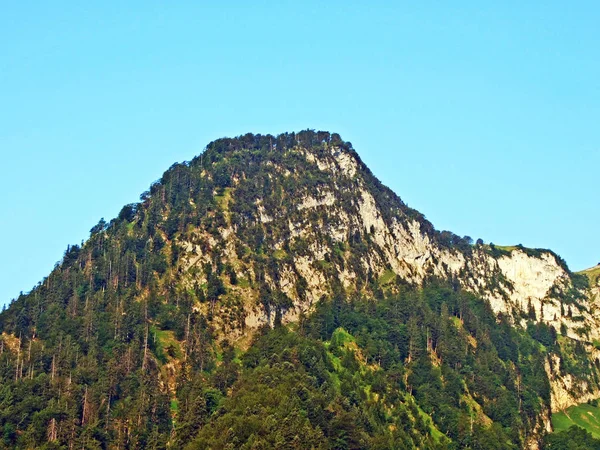 Árvores Florestas Perenes Nas Encostas Cordilheira Alpstein Vale Reno Cantões — Fotografia de Stock